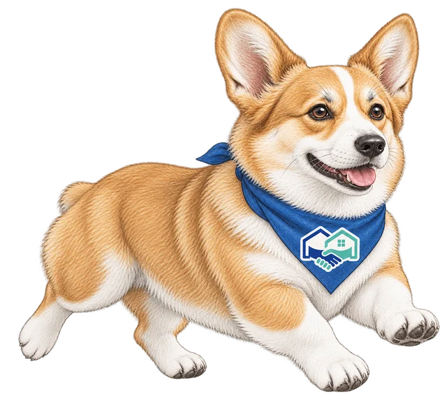 Homie, the HomeHandoff corgi, running